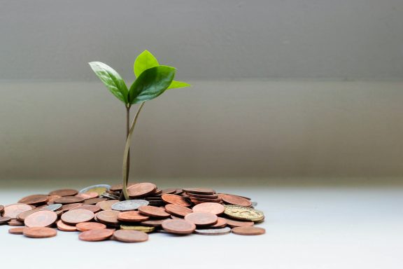 Make your money grow!